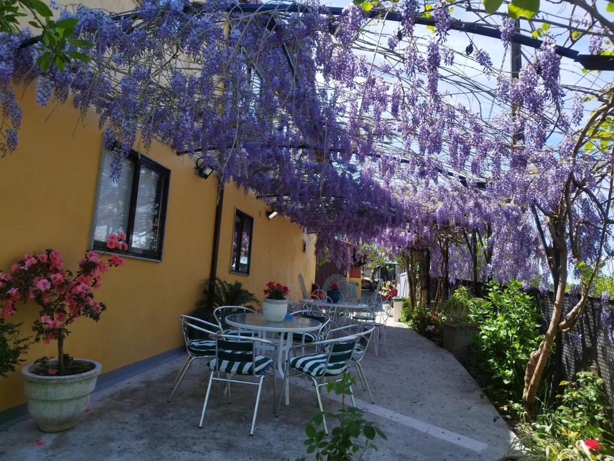 Casa Da Vieira Hotel Ourense Exterior photo